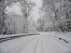 Bimbo lasciato a piedi dal bus, autista chiede scusa. Genitori: 