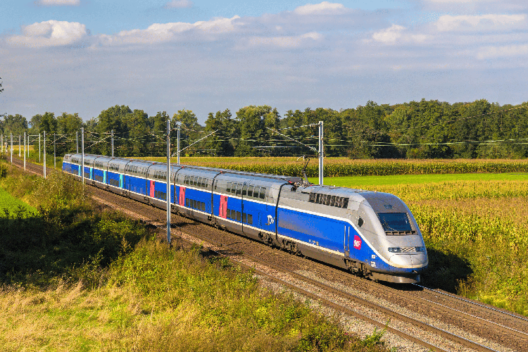 Treno - Canva