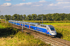 Treno - Canva