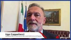 Farmaceutica, Cappellacci: 