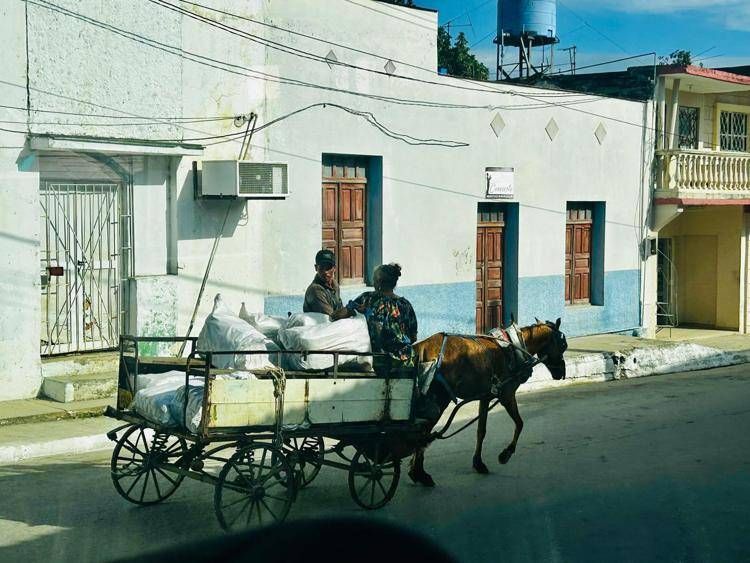 Spostamenti con il carretto a Cuba - Adnkronos