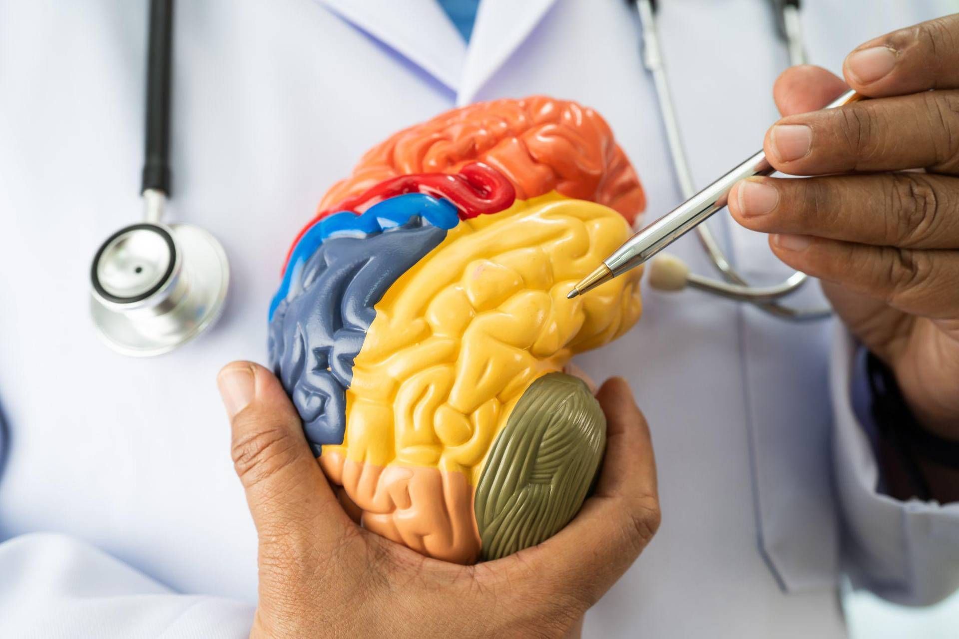 Malattie neuromuscolari e miastenia grave, nasce academyX per l'alta formazione