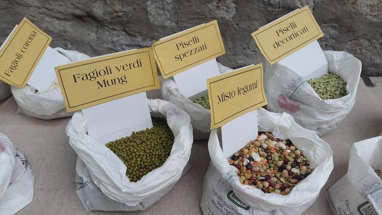 Legumi in vendita