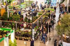 A Milano Rho la vetrina del florovivaismo, in Italia produzioni record a 3,25 miliardi