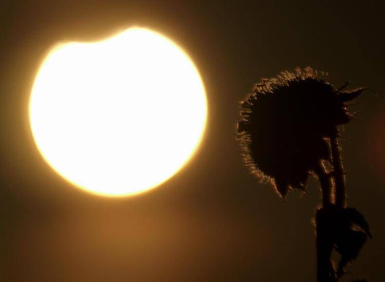 Eclissi solare parziale - (Ipa)