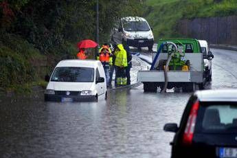 Immagine in aggiornamento