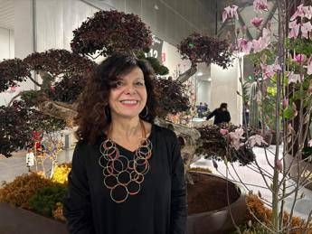 Randazzo Comm Immagine in aggiornamento