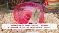 In Italia vola la Pet economy, +76% in 10 anni