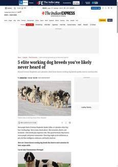 India: Rinviati i colloqui commerciali con gli Usa, Nuova Delhi chiede di riprogrammare