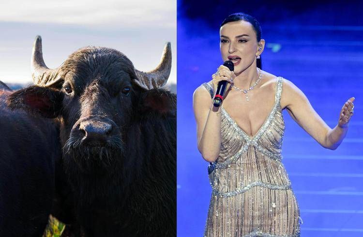 Una bufala del gruppo di ascolto e Arisa - Fattoria Garofalo /Fotogramma /Ipa