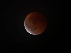 Luna di sangue - Fotogramma /Ipa