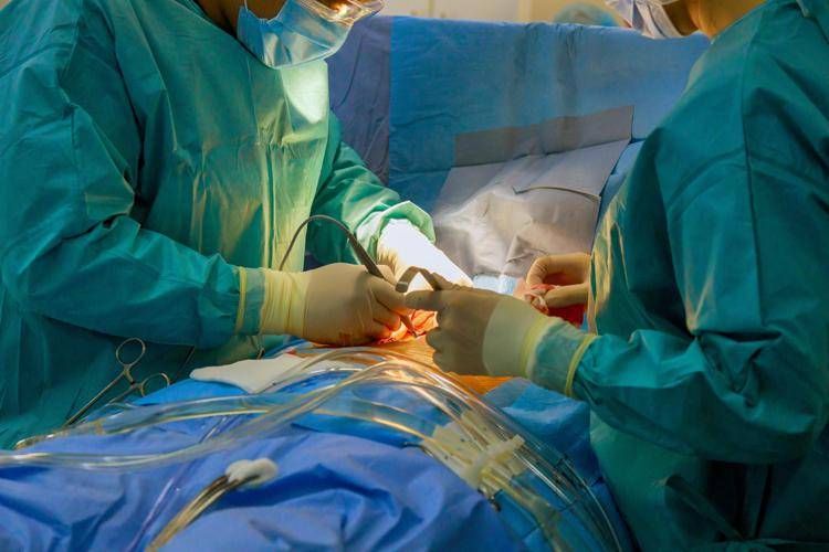 Prima mondiale, impiantata corda tendinea bioingegnerizzata su modello di cuore animale