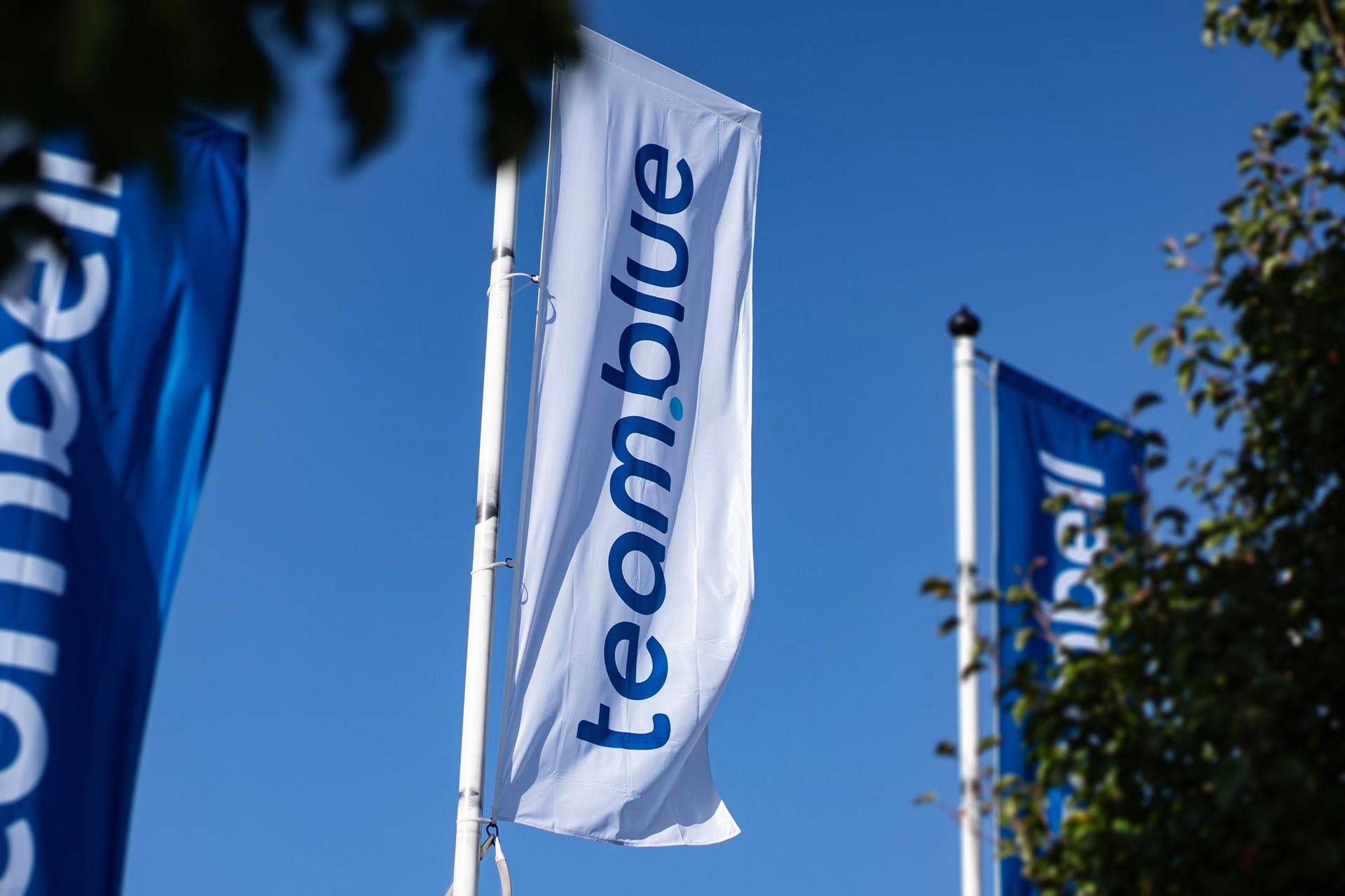 Digital Maturity Report 2026: le PMI tra IA e innovazione