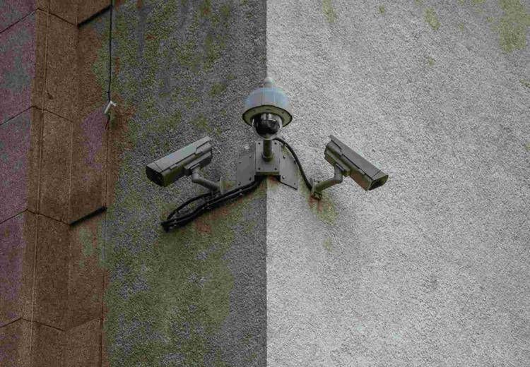  - Doku Pauls/Unsplash