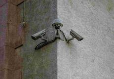  - Doku Pauls/Unsplash