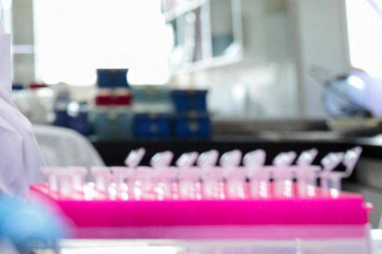 Staminali contro il Parkinson, in Giappone via libera al primo trattamento - Afp