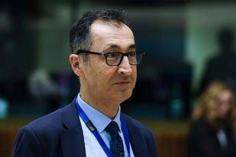 Cem Oezdemir - (Ipa)