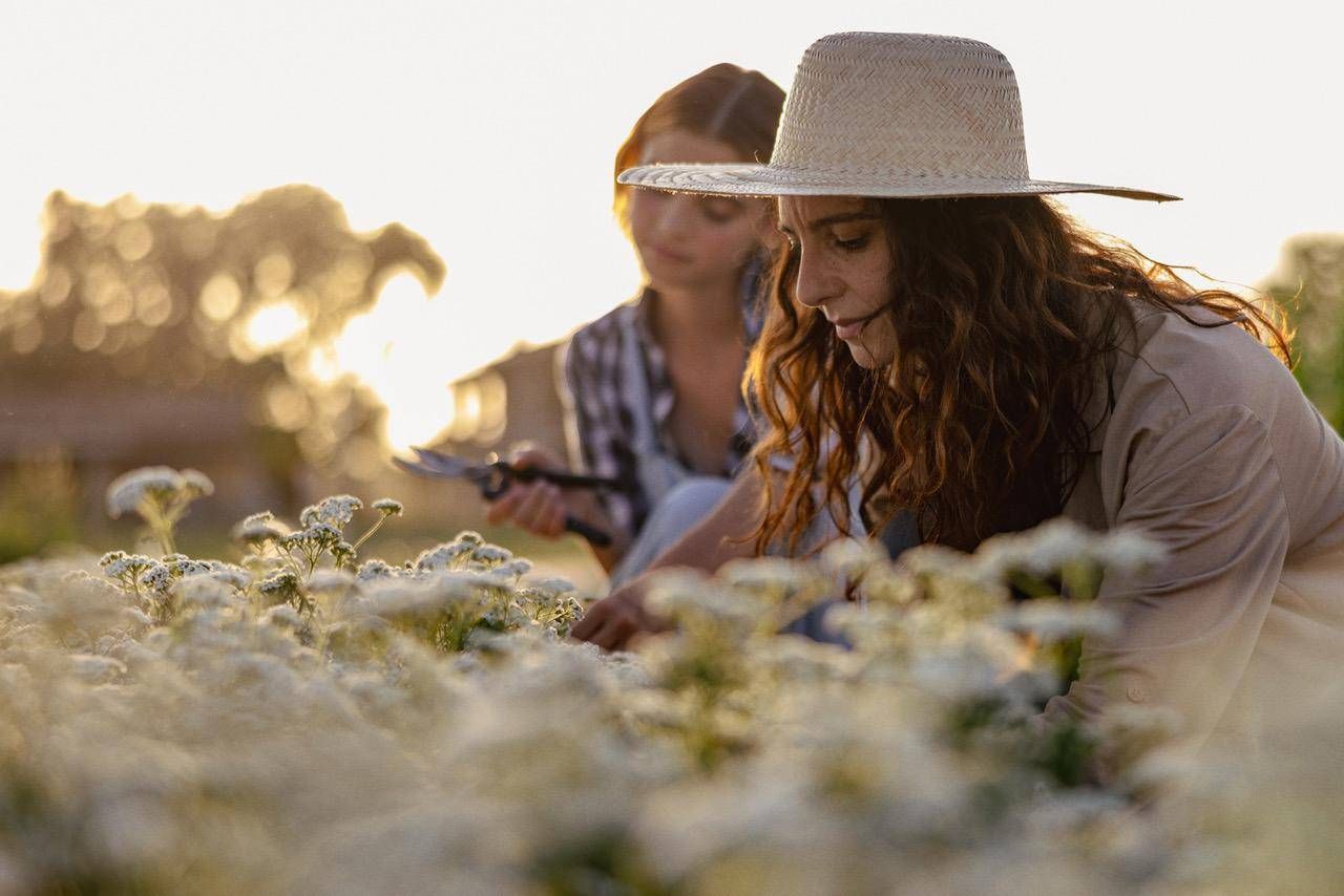 Sostenibilità, torna 'The Good Farmer Award': candidature aperte fino al 15 maggio