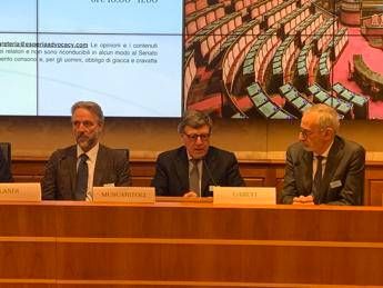 Muscaritoli (Sinuc): 