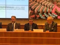 Muscaritoli (Sinuc): 