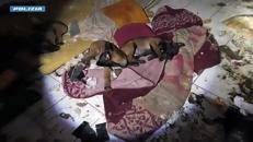 Cuccioli tra rifiuti ed escrementi in uno stabile abbandonato, il salvataggio della polizia – VIDEO