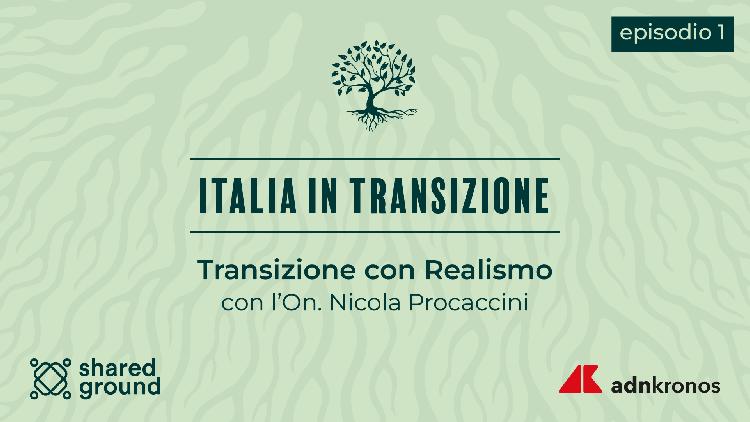 Italia in transizione, Procaccini: 