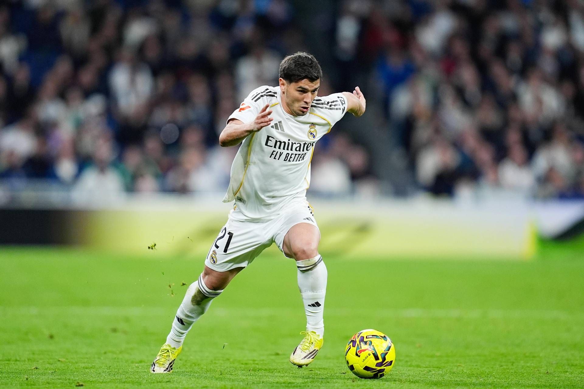 Champions, oggi Real Madrid-Manchester City - La diretta