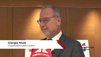 Colite ulcerosa,  Mulè (Fi): 'accompagnare pazienti con percorsi multidisciplinari'