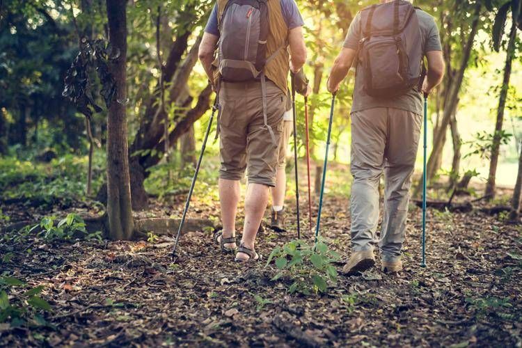 Nordic Walking - 123rf