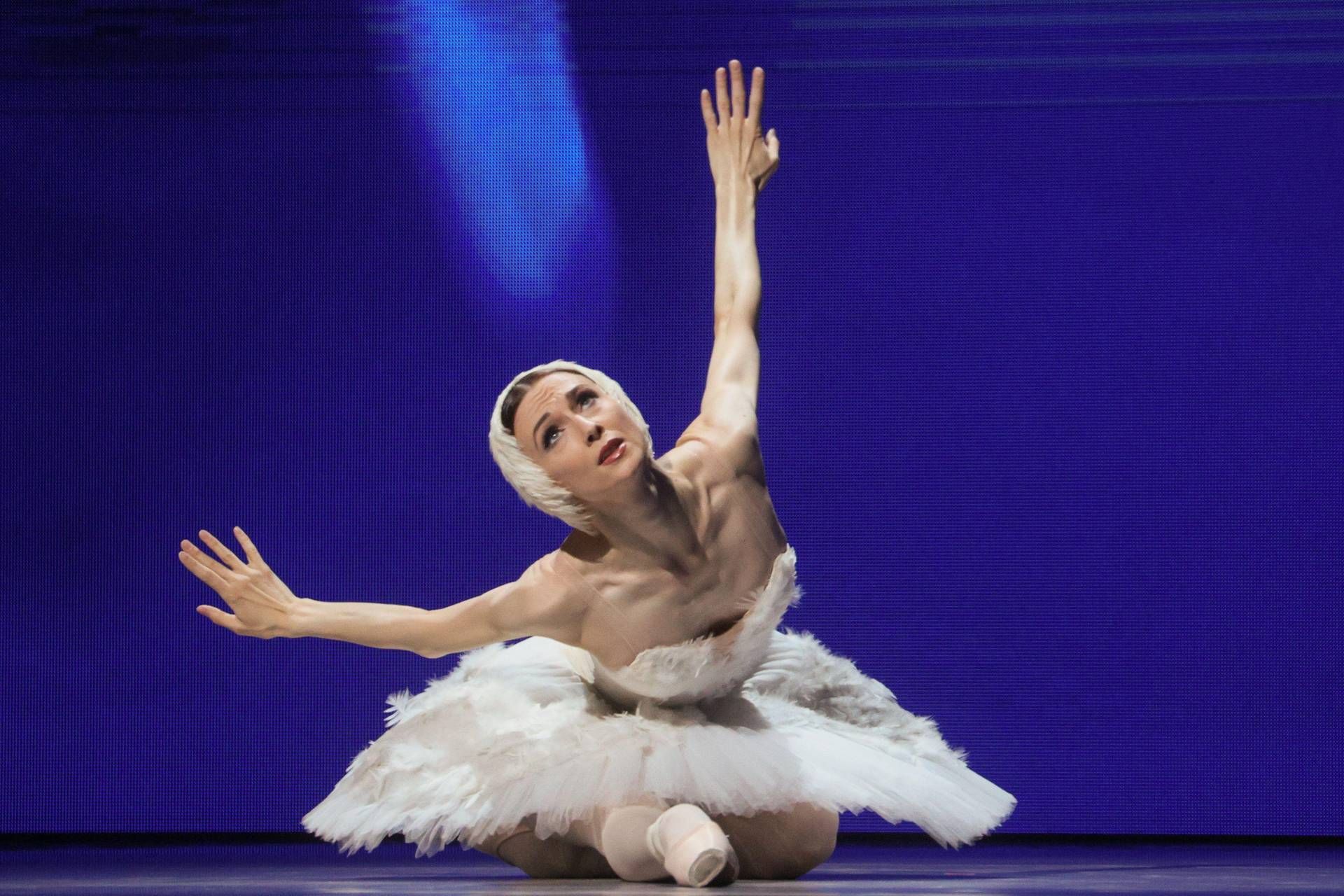 Roberto Giovanardi: "Amareggiato per Svetlana Zakharova, spero Buttafuoco tenga duro alla Biennale"