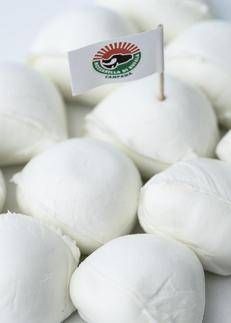 Mozzarella di bufala e jabugo dop, a Barcellona il gemellaggio europeo del gusto