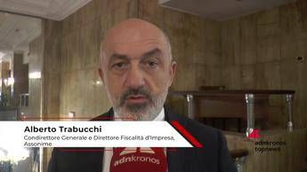Trabucchi (Assonime), 'principio di derivazione fondamentale per disciplina reddito d'impresa'
