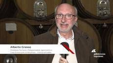 Grasso, Fontanafredda: 