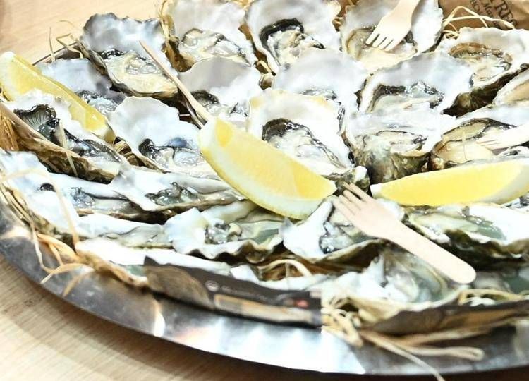 Un piatto di ostriche, immagine di repertorio (Fotogramma/Ipa)