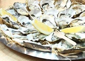 Un piatto di ostriche, immagine di repertorio (Fotogramma/Ipa)