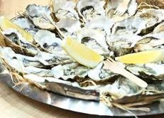 Un piatto di ostriche, immagine di repertorio (Fotogramma/Ipa)