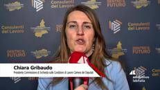 Consulenti lavoro: Gribaudo (Deputata) 