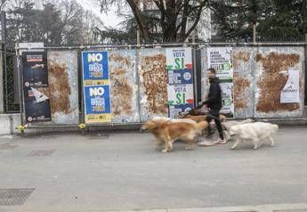 Referendum, da domani alle urne: come e quando si vota
