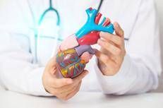 Salute: Cardio hub, al via laboratorio permanente per malattie cardio-cerebrovascolari