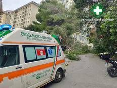 Donna ferita a Genova dalla caduta di un ramo