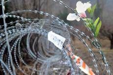 Fili spinato al confine tra Slovenia e Croazia (Fotogramma/Ipa) 