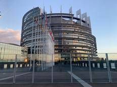 La sede del Parlamento Europeo a Strasburgo (foto Adnkronos)