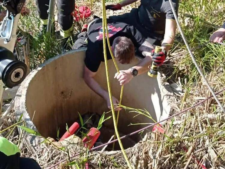 Cade in un pozzo non segnalato a Roma, salvata dai vigili del fuoco