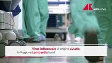 Influenza aviaria, identificato in Lombardia un caso umano