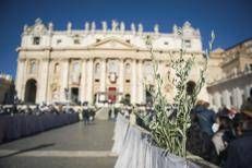 Domenica delle Palme in piazza San Pietro - Ipa
