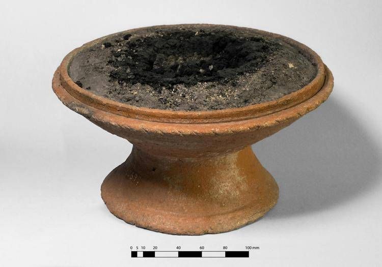 Incenso dall'Africa e dall'Asia, svelati i segreti dei sacrifici a Pompei