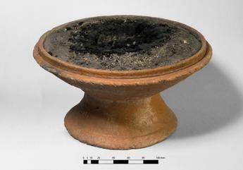 Incenso dall'Africa e dall'Asia, svelati i segreti dei sacrifici a Pompei