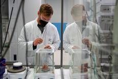 Carcinoma polmonare, ok Ema a lurbinectedina e immunoterapia in prima linea