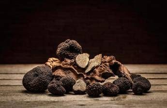 Tartufo, un'azienda del Lazio rilancia sulla qualità: filiera controllata e stop agli aromi artificiali