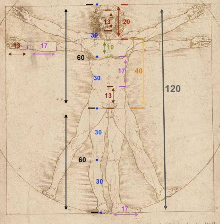 L’Uomo Vitruviano di Leonardo da Vinci Il corpo umano come misura del mondo